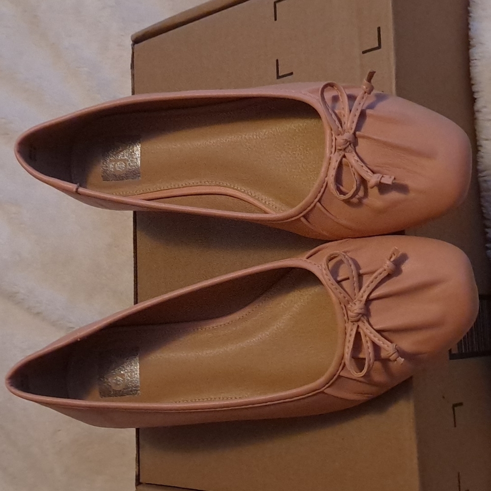 Dolce Vita Ballet style flats